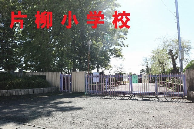 片柳小学校