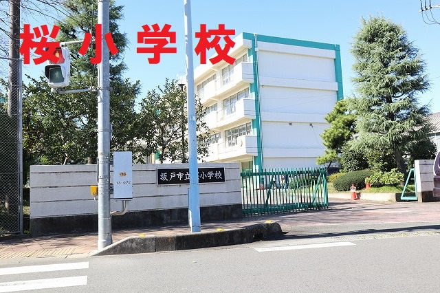 桜小学校