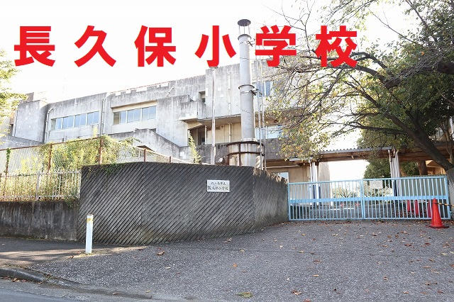 11102画像