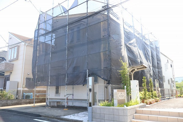 11830画像
