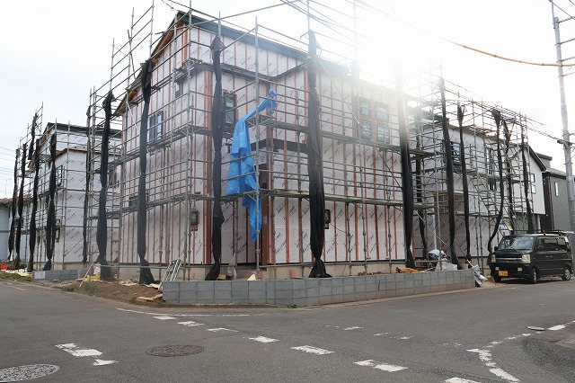 12695画像