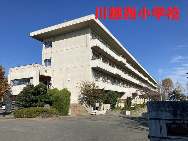 10298画像
