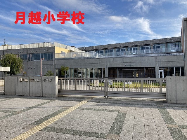 11362画像