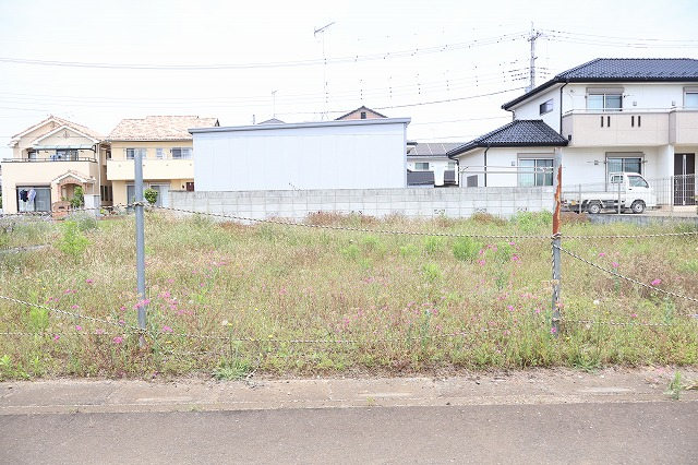 11611画像