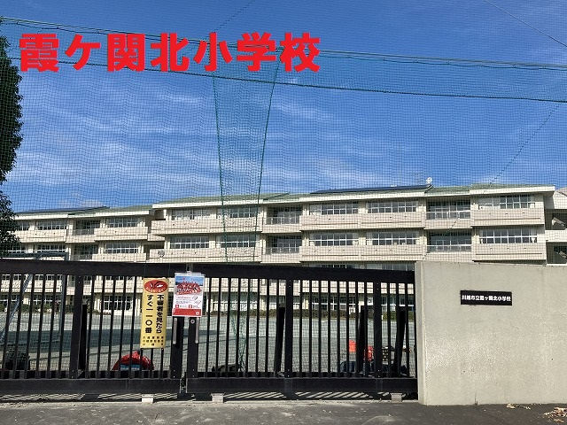 11841画像