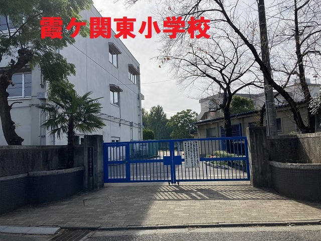 12239画像