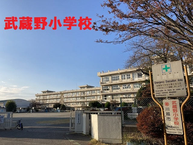 12380画像