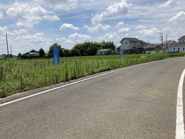 3142画像