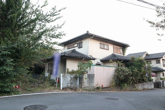 6081画像